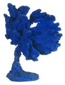青の海綿彫刻　（SE33）