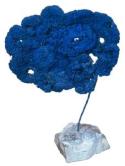 青の海綿彫刻　（SE 260）
