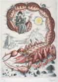 Scorpion (signe du Zodiaque)