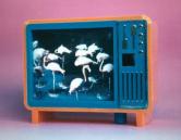 Flamingo TV