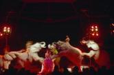 Cirque Scott - danseurs d'éléphants Adi Enders