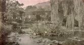 ジヴェルニーのモネの庭にある睡蓮の池と日本の橋