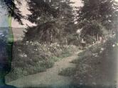 ジヴェルニーのモネの庭にある小道