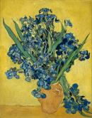 Irises, 1890 (oil on canvas)