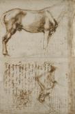 馬の素描