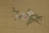 花咲く芙蓉の枝図、江戸時代