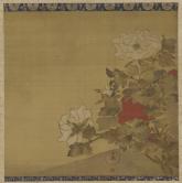 芍薬図、江戸時代