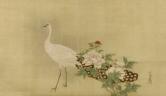 白孔雀と芍薬図、江戸時代、17世紀半ば‐18世紀初頭