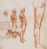 男性の裸体の解剖図と戦闘場面