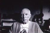 Portrait de Picasso (tee-shirt au dragon)