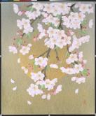 枝垂れ桜  40.9×31.8