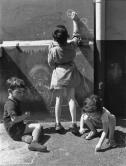 Dessins d'enfants dans la rue, Paris, 1953