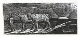  Illustrations to Thornton's 'Pastorals of Virgil'， 'And Unyok'd Heifers， Loitering Homeward， Low'