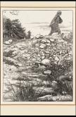  Illustrations to 'The Parables of Our Lord'， engraved by the Dalziel Brothers， The Sower